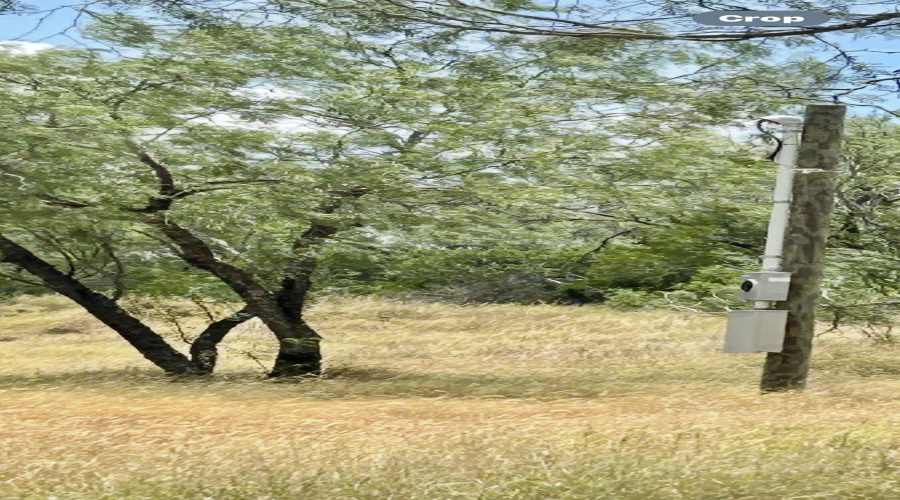 408 Condor Ave., Zapata, Texas 78076, ,Land,For Sale,408 Condor Ave.,20254102