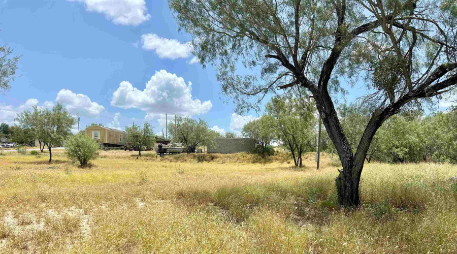 408 Condor Ave., Zapata, Texas 78076, ,Land,For Sale,408 Condor Ave.,20254102