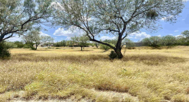 410 Condor Ave., ZAPATA, Texas 78076, ,Land,For Sale,410 Condor Ave.,20254104