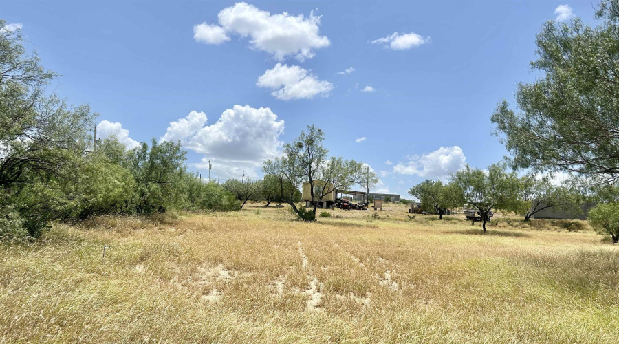 412 Condor Ave., Zapata, Texas 78076, ,Land,For Sale,412 Condor Ave.,20254107