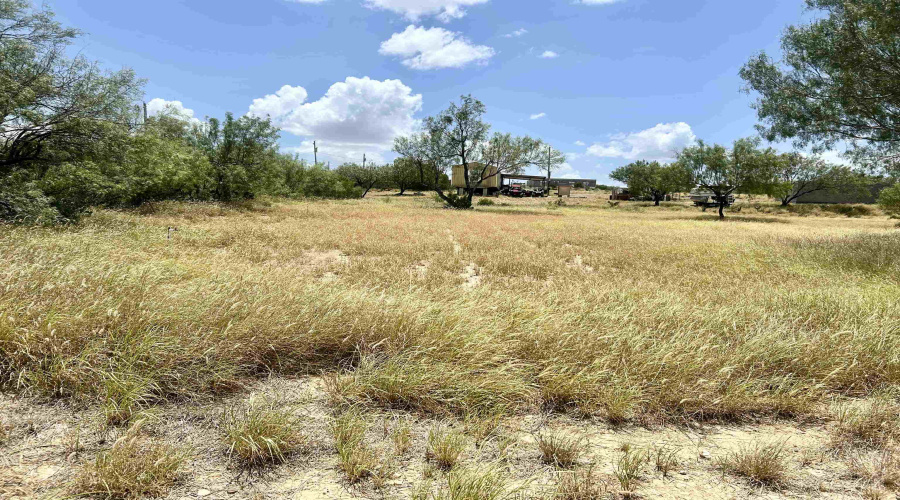 412 Condor Ave., Zapata, Texas 78076, ,Land,For Sale,412 Condor Ave.,20254107
