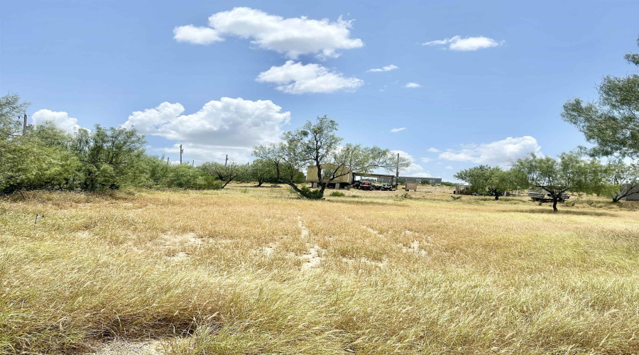 412 Condor Ave., Zapata, Texas 78076, ,Land,For Sale,412 Condor Ave.,20254107