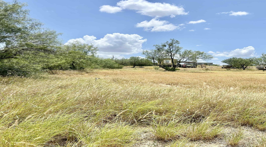 412 Condor Ave., Zapata, Texas 78076, ,Land,For Sale,412 Condor Ave.,20254107