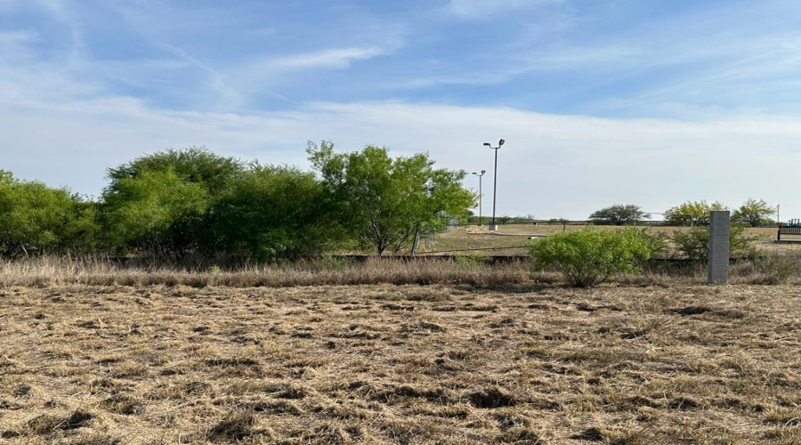 8233 Mejia Rd, Laredo, Texas 78043, ,Land,For Sale,8233 Mejia Rd,20254208