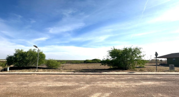 8233 Mejia Rd, Laredo, Texas 78043, ,Land,For Sale,8233 Mejia Rd,20254208