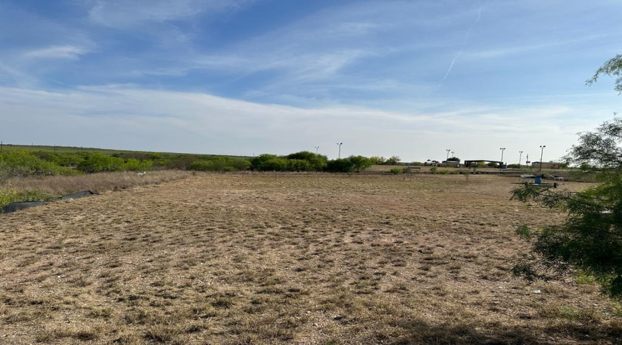 8233 Mejia Rd, Laredo, Texas 78043, ,Land,For Sale,8233 Mejia Rd,20254208