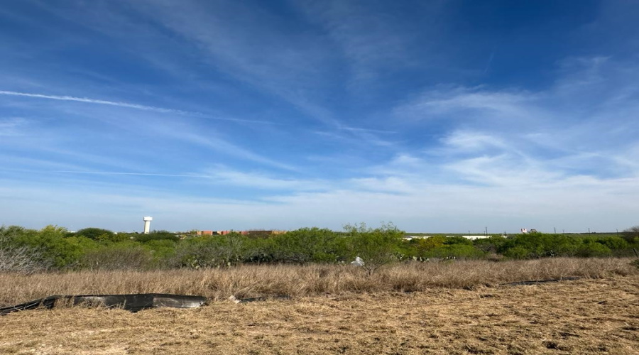 8233 Mejia Rd, Laredo, Texas 78043, ,Land,For Sale,8233 Mejia Rd,20254208
