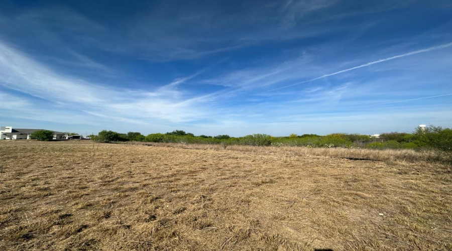 8233 Mejia Rd, Laredo, Texas 78043, ,Land,For Sale,8233 Mejia Rd,20254208