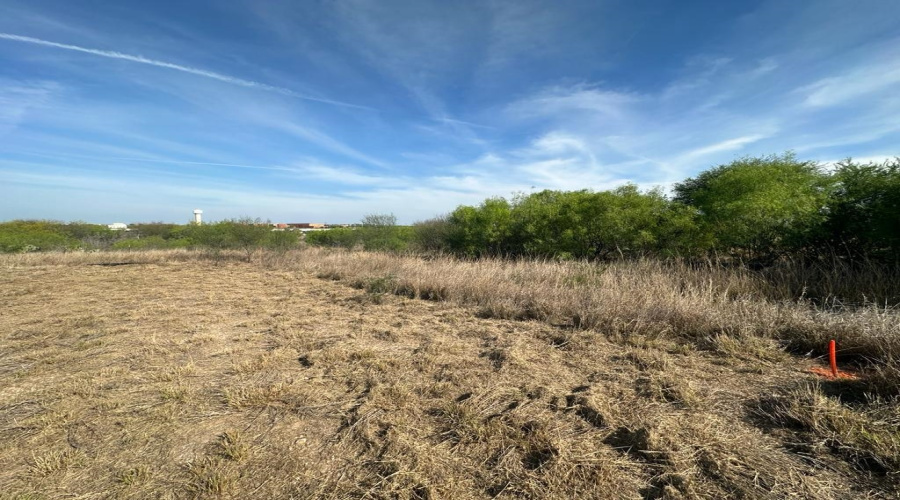 8233 Mejia Rd, Laredo, Texas 78043, ,Land,For Sale,8233 Mejia Rd,20254208
