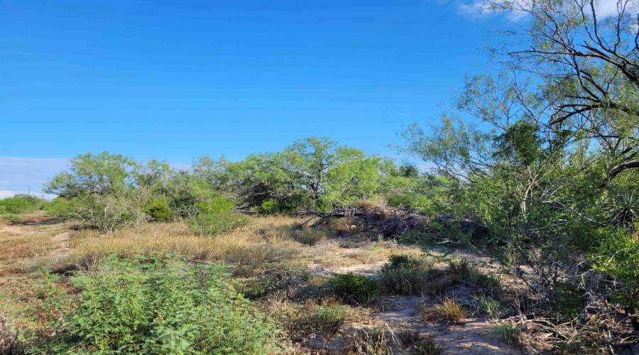 1000 ABST 1637 SUR 471, Aguilares, Texas 78369, ,Land,For Sale,1000 ABST 1637 SUR 471,20254211