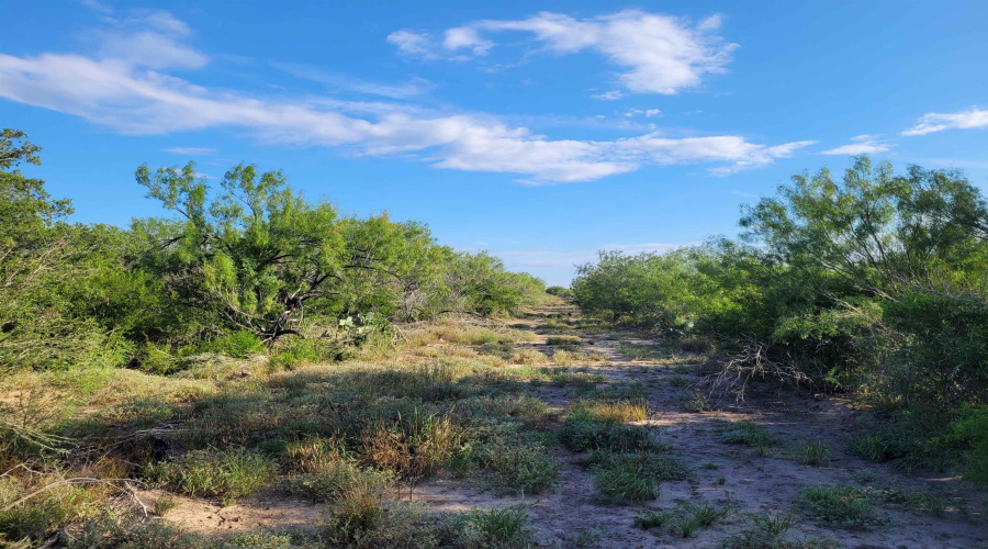 1000 ABST 1637 SUR 471, Aguilares, Texas 78369, ,Land,For Sale,1000 ABST 1637 SUR 471,20254211
