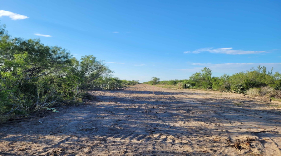 1000 ABST 1637 SUR 471, Aguilares, Texas 78369, ,Land,For Sale,1000 ABST 1637 SUR 471,20254211
