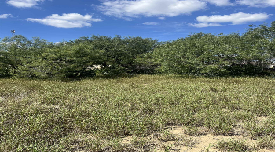308 Water St, Zapata, Texas 78076, 1 Bedroom Bedrooms, 1 Room Rooms,1 BathroomBathrooms,Residential,For Sale,308 Water St,20254523
