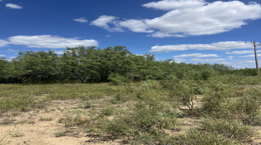 308 Water St, Zapata, Texas 78076, 1 Bedroom Bedrooms, 1 Room Rooms,1 BathroomBathrooms,Residential,For Sale,308 Water St,20254523