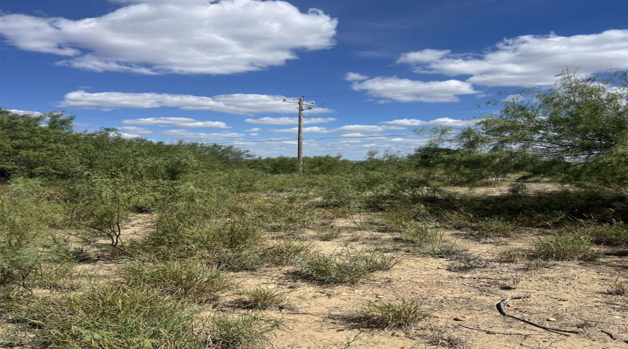 308 Water St, Zapata, Texas 78076, 1 Bedroom Bedrooms, 1 Room Rooms,1 BathroomBathrooms,Residential,For Sale,308 Water St,20254523