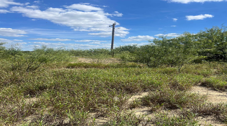 308 Water St, Zapata, Texas 78076, 1 Bedroom Bedrooms, 1 Room Rooms,1 BathroomBathrooms,Residential,For Sale,308 Water St,20254523
