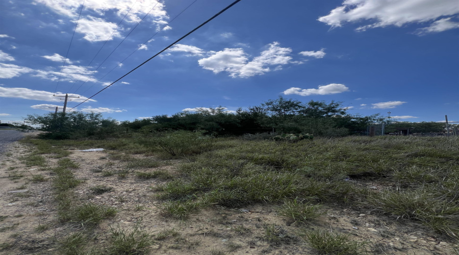 308 Water St, Zapata, Texas 78076, 1 Bedroom Bedrooms, 1 Room Rooms,1 BathroomBathrooms,Residential,For Sale,308 Water St,20254523
