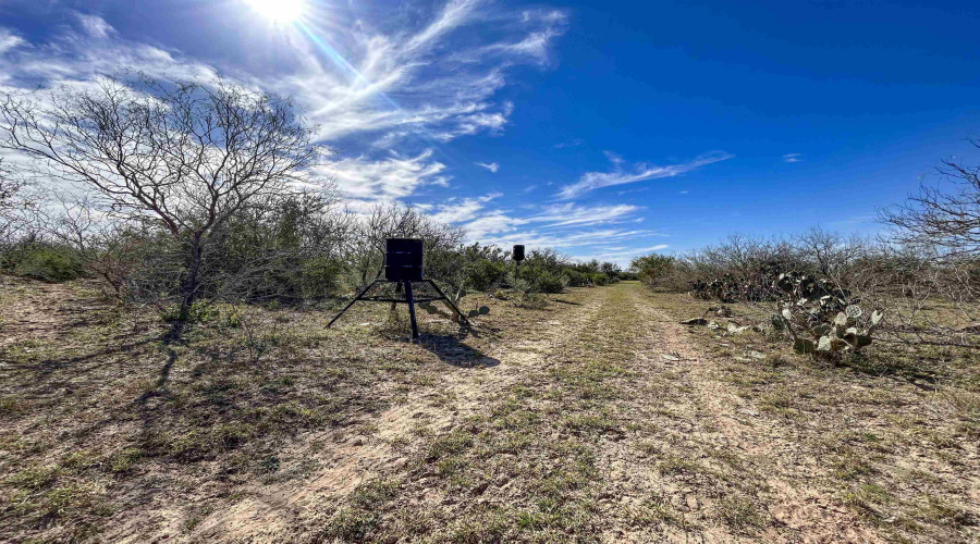175 Ranch Road 8072C, BRUNI, Texas 78344-0072, ,Land,For Sale,175 Ranch Road 8072C,20254328