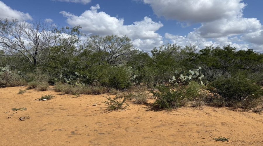000 La Moca Ranch, Laredo, Texas 78045-0019, ,Land,For Sale,000 La Moca Ranch,20254405