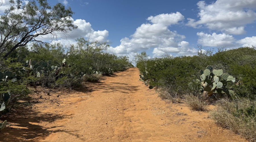 000 La Moca Ranch, Laredo, Texas 78045-0019, ,Land,For Sale,000 La Moca Ranch,20254405