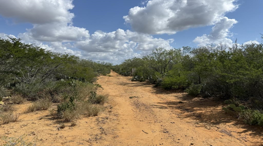 000 La Moca Ranch, Laredo, Texas 78045-0019, ,Land,For Sale,000 La Moca Ranch,20254405