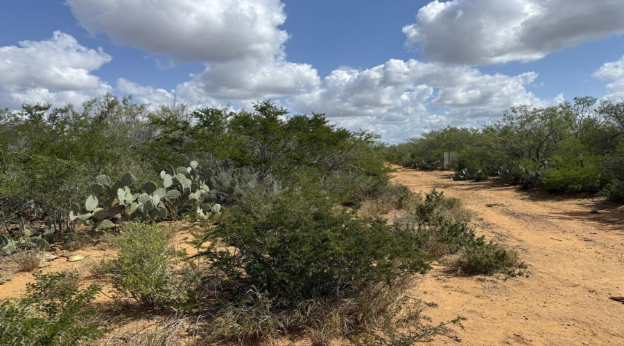 000 La Moca Ranch, Laredo, Texas 78045-0019, ,Land,For Sale,000 La Moca Ranch,20254405