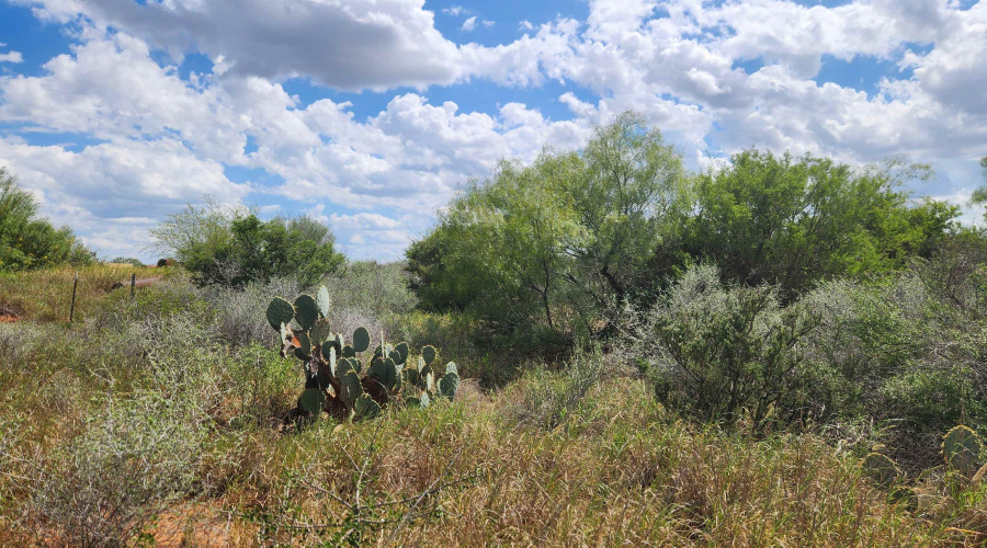 PT OF TRACT 29 La Moca Ranch, Laredo, Texas 78045, ,Land,For Rent,PT OF TRACT 29 La Moca Ranch,20254437