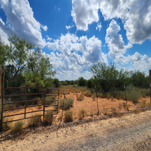 PT OF TRACT 29 La Moca Ranch, Laredo, Texas 78045, ,Land,For Rent,PT OF TRACT 29 La Moca Ranch,20254437