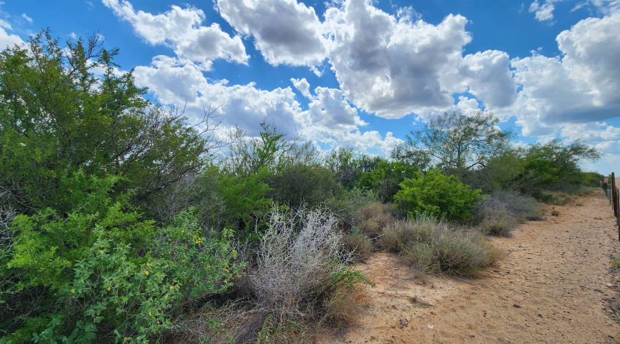 PT OF TRACT 29 La Moca Ranch, Laredo, Texas 78045, ,Land,For Rent,PT OF TRACT 29 La Moca Ranch,20254437