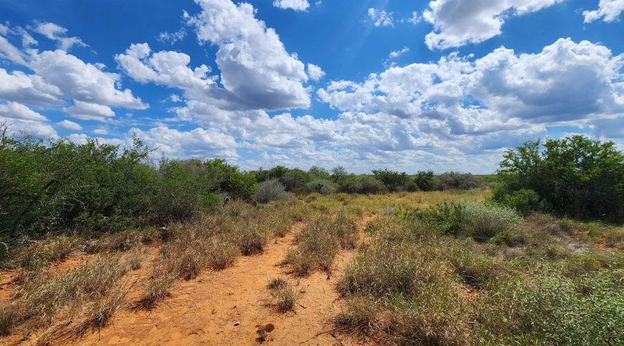 PT OF TRACT 29 La Moca Ranch, Laredo, Texas 78045, ,Land,For Rent,PT OF TRACT 29 La Moca Ranch,20254437
