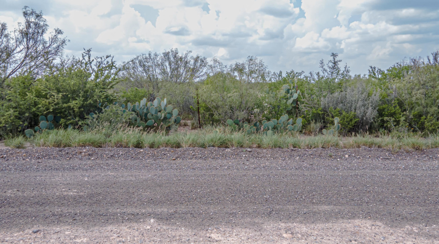 000 Colorado Acs Sur, LAREDO, Texas 78044, ,Land,For Sale,000 Colorado Acs Sur,20254462