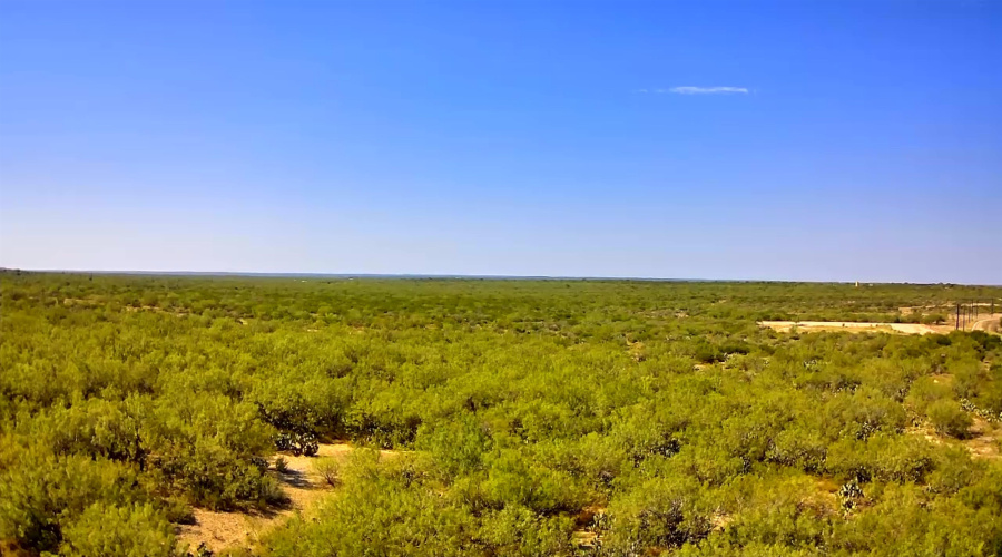 211 Loma Linda Rd., ZAPATA, Texas 78076, ,Land,For Sale,211 Loma Linda Rd.,20254478