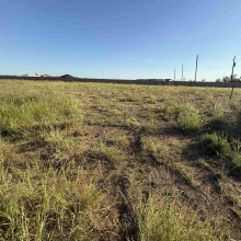 109 Lusitano Dr., Laredo, Texas 78045, ,Land,For Sale,109 Lusitano Dr.,20254495