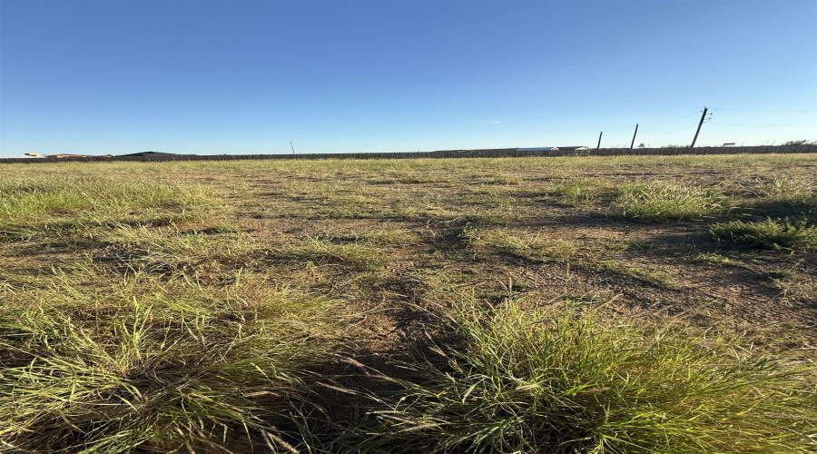 109 Lusitano Dr., Laredo, Texas 78045, ,Land,For Sale,109 Lusitano Dr.,20254495