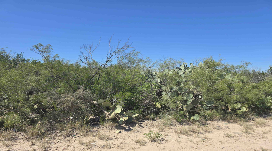 ABST 1293 SUR 1739, Laredo, Texas 00000-000, ,Land,For Sale,ABST 1293 SUR 1739,20254520