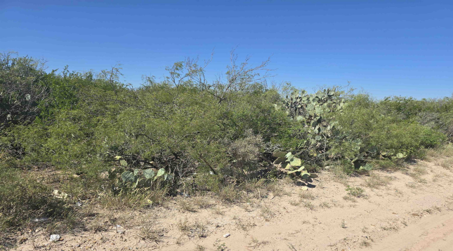 ABST 1293 SUR 1739, Laredo, Texas 00000-000, ,Land,For Sale,ABST 1293 SUR 1739,20254520