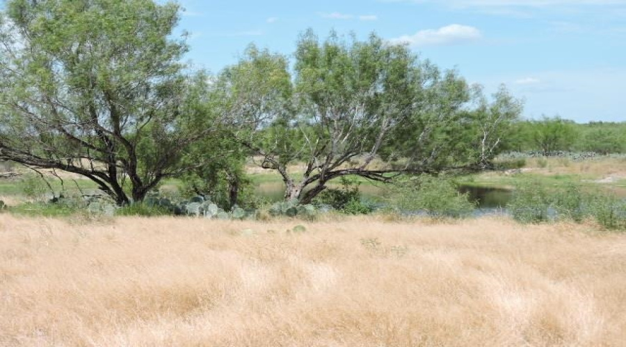 TX State Hwy 359, Aguilares, Texas 78369, ,Land,For Sale,TX State Hwy 359,20243351