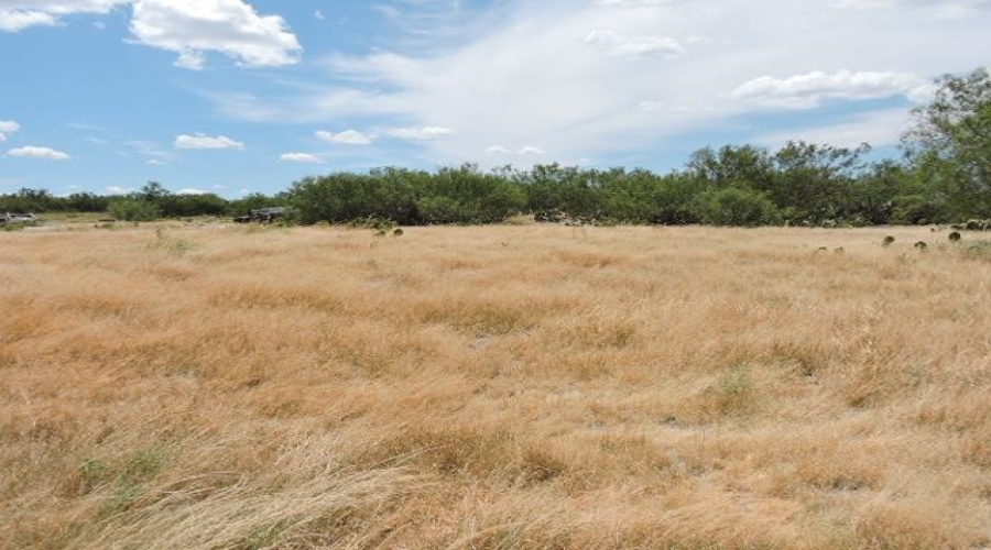 TX State Hwy 359, Aguilares, Texas 78369, ,Land,For Sale,TX State Hwy 359,20243351