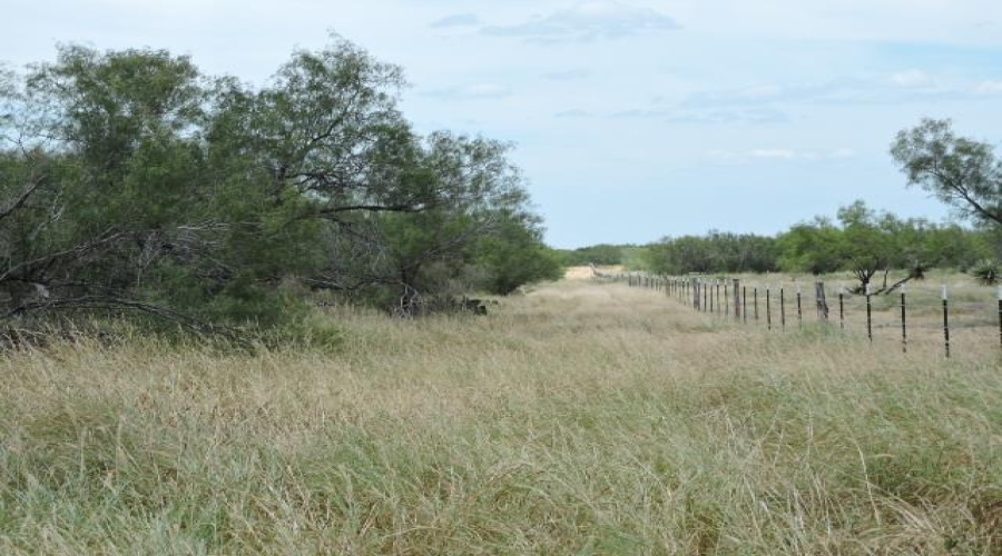 TX State Hwy 359, Aguilares, Texas 78369, ,Land,For Sale,TX State Hwy 359,20243351