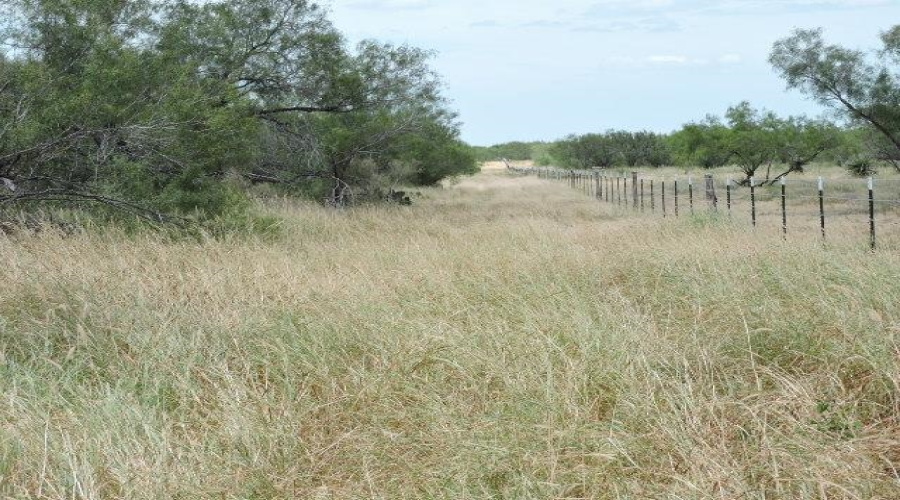 TX State Hwy 359, Aguilares, Texas 78369, ,Land,For Sale,TX State Hwy 359,20243351