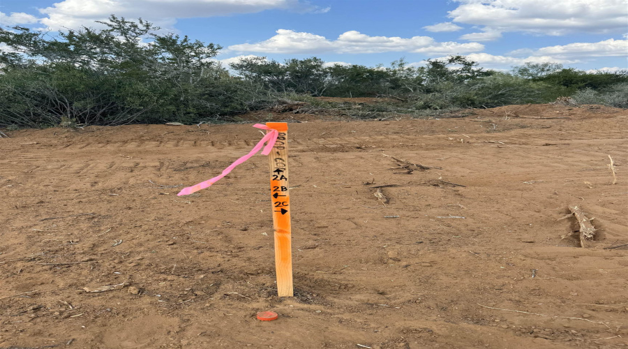 Tract 2-A La Campana Rd, Encinal, Texas 00000-0000, ,Land,For Sale,Tract 2-A La Campana Rd,20244145