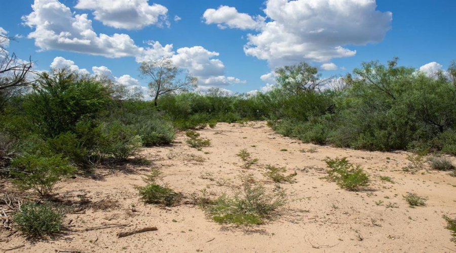 395 Ranch Road 6210F, Laredo, Texas 78045, ,Land,For Sale,395 Ranch Road 6210F,20250319