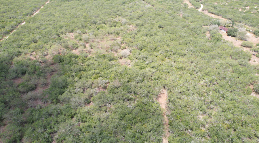 CR 406 (E OFF OF), Falfurrias, Texas 78355, ,Land,For Sale,CR 406 (E OFF OF),20253911