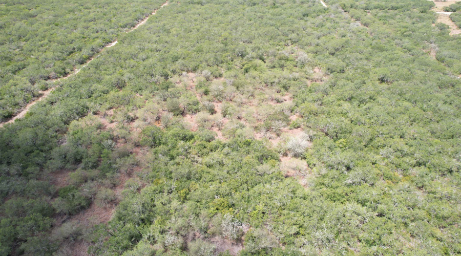 CR 406 (E OFF OF), Falfurrias, Texas 78355, ,Land,For Sale,CR 406 (E OFF OF),20253911
