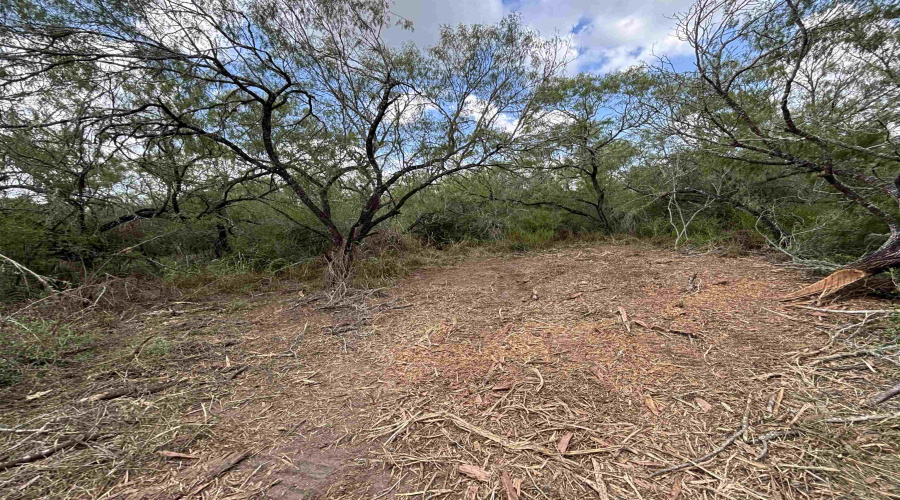 CR 406 (E OFF OF), Falfurrias, Texas 78355, ,Land,For Sale,CR 406 (E OFF OF),20253911