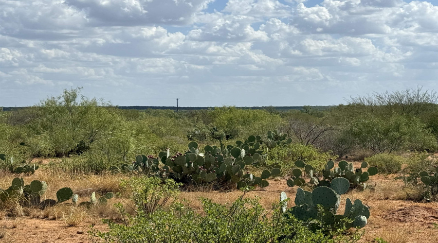 6252b Ranch Rd, Laredo, Texas 78043, ,Land,For Sale,6252b Ranch Rd,20253929