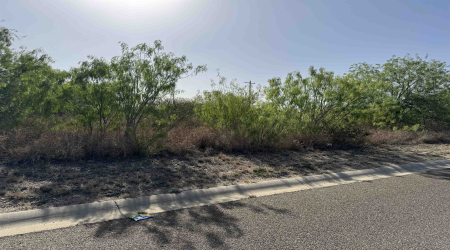 2605 Glenn St, Zapata, Texas 78075, ,Land,For Sale,2605 Glenn St,20254555