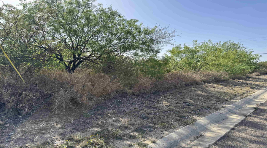 2605 Glenn St, Zapata, Texas 78075, ,Land,For Sale,2605 Glenn St,20254555
