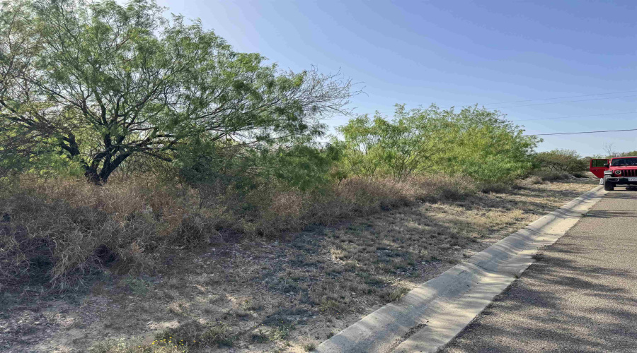 2605 Glenn St, Zapata, Texas 78075, ,Land,For Sale,2605 Glenn St,20254555