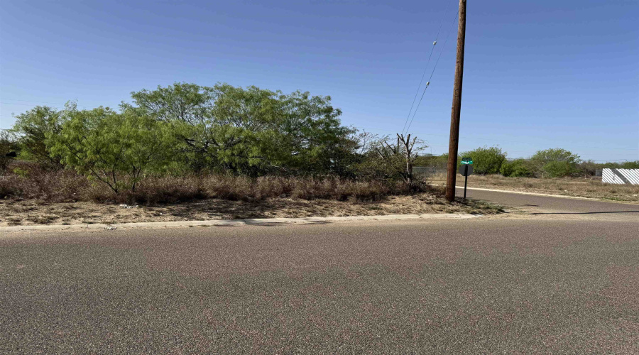 2605 Glenn St, Zapata, Texas 78075, ,Land,For Sale,2605 Glenn St,20254555